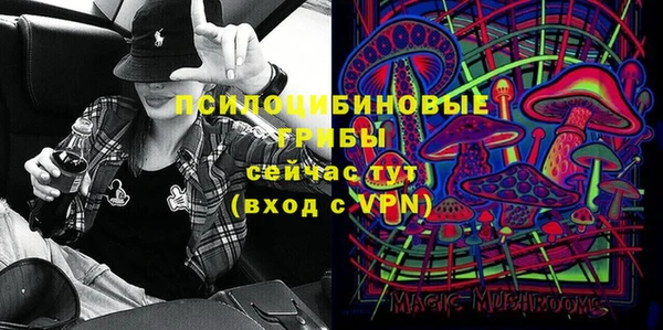 стаф Аркадак