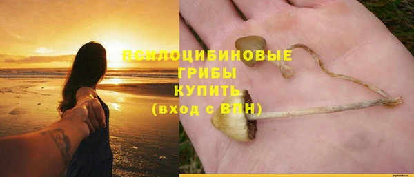 бошки Армянск