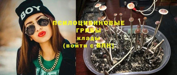 бошки Армянск