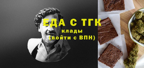 стаф Аркадак