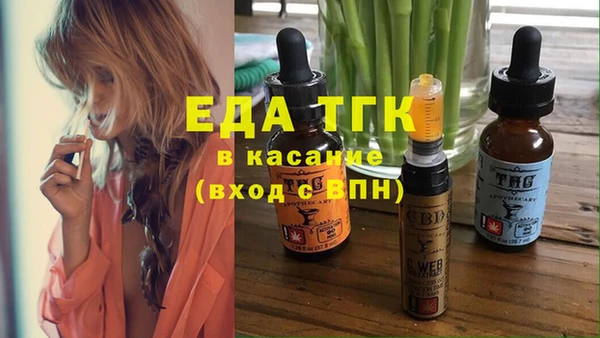 стаф Аркадак