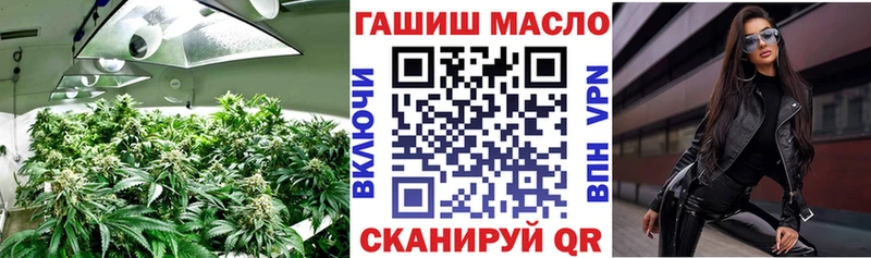как найти закладки  Белая Холуница  ТГК концентрат 