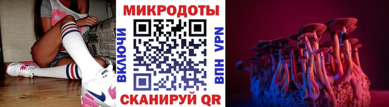 Галлюциногенные грибы Psilocybine cubensis  Белая Холуница 