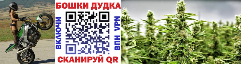 Бошки Шишки семена Белая Холуница